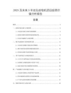2025及未來(lái)5年雙孔給皂機(jī)項(xiàng)目投資價(jià)值分析報(bào)告