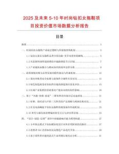 2025及未來5-10年時尚鉆扣女拖鞋項目投資價值市場數(shù)據(jù)分析報告