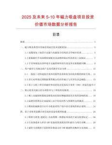 2025及未來5-10年磁力吸盤項目投資價值市場數(shù)據分析報告