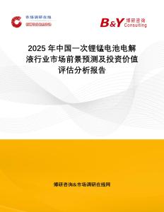 2025年中國一次鋰錳電池電解液行業市場前景預測及投資價值評估分析報告