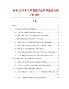 2025及未來5年重型風批項目投資價值分析報告