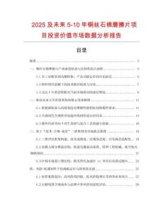 2025及未來5-10年銅絲石棉磨擦片項目投資價值市場數據分析報告