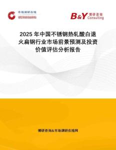 2025年中國不銹鋼熱軋酸白退火扁鋼行業市場前景預測及投資價值評估分析報告