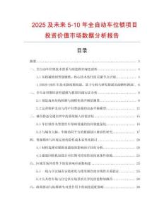 2025及未來5-10年全自動車位鎖項目投資價值市場數據分析報告
