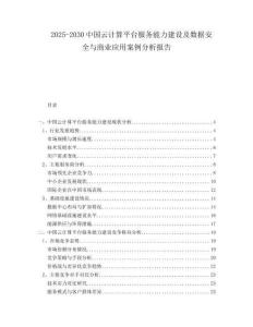 2025-2030中國云計算平臺服務能力建設及數據安全與商業應用案例分析報告