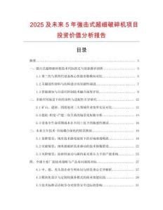 2025及未來5年強擊式超細破碎機項目投資價值分析報告