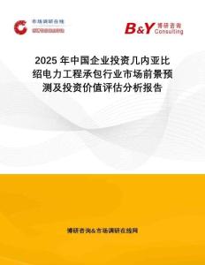 2025年中國(guó)企業(yè)投資幾內(nèi)亞比紹電力工程承包行業(yè)市場(chǎng)前景預(yù)測(cè)及投資價(jià)值評(píng)估分析報(bào)告