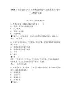2025廣東陽江陽西縣政府發(fā)展研究中心就業(yè)見習崗位1人模擬試卷及答案詳解（奪冠系列）