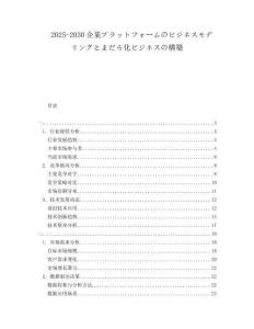 2025-2030企業プラットフォームのビジネスモデリングとまだら化ビジネスの構築
