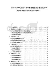 2025-2030汽車后市場零配件銷售服務差別化競爭服務效率提升計劃研究分析報告
