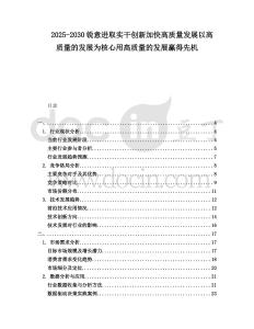2025-2030銳意進(jìn)取實(shí)干創(chuàng)新加快高質(zhì)量發(fā)展以高質(zhì)量的發(fā)展為核心用高質(zhì)量的發(fā)展贏得先機(jī)