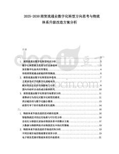 2025-2030商貿(mào)流通業(yè)數(shù)字化轉(zhuǎn)型方向思考與物流體系升級改造方案分析