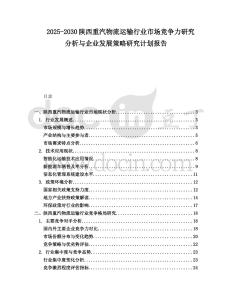 2025-2030陜西重汽物流運輸行業(yè)市場競爭力研究分析與企業(yè)發(fā)展策略研究計劃報告