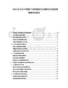 2025至2030中國液下式防腐泵行業調研及市場前景預測評估報告