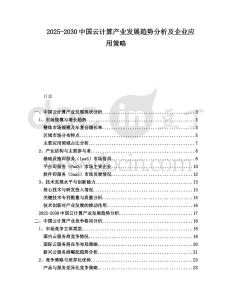 2025-2030中國云計算產業發展趨勢分析及企業應用策略