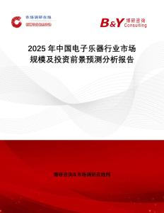 2025年中國電子樂器行業市場規模及投資前景預測分析報告