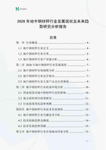 2026年地中鋼材秤行業發展現狀及未來趨勢研究分析報告