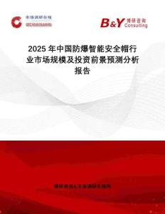 2025年中國防爆智能安全帽行業(yè)市場規(guī)模及投資前景預(yù)測分析報(bào)告