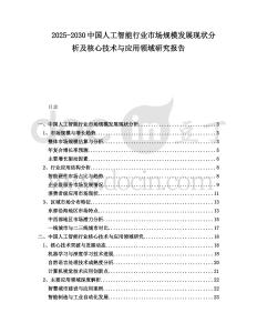 2025-2030中國人工智能行業(yè)市場規(guī)模發(fā)展現(xiàn)狀分析及核心技術(shù)與應(yīng)用領(lǐng)域研究報告