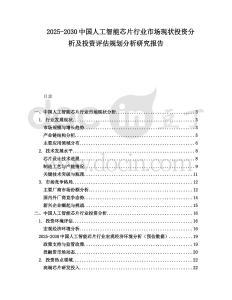 2025-2030中國人工智能芯片行業(yè)市場現(xiàn)狀投資分析及投資評估規(guī)劃分析研究報告