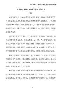 企業數字營銷與電商平臺拓展實施方案