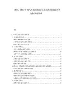 2025-2030中國(guó)汽車(chē)后市場(chǎng)運(yùn)營(yíng)現(xiàn)狀及發(fā)展前景和趨勢(shì)深度調(diào)研