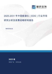 2025-2031年中國(guó)能譜儀（EDS）行業(yè)市場(chǎng)研究分析及前景戰(zhàn)略研判報(bào)告