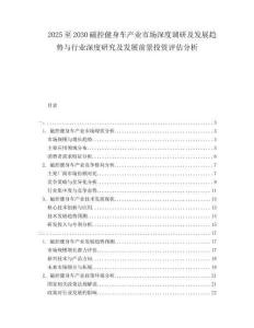 2025至2030磁控健身車(chē)產(chǎn)業(yè)市場(chǎng)深度調(diào)研及發(fā)展趨勢(shì)與行業(yè)深度研究及發(fā)展前景投資評(píng)估分析