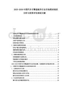 2025-2030中國汽車引擎蓋配件行業市場需求現狀分析與投資評估規劃文獻
