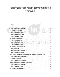 2025至2030中國椰子刮刀行業(yè)深度研究及發(fā)展前景投資評估分析