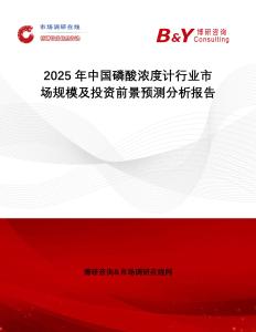 2025年中國磷酸濃度計行業市場規模及投資前景預測分析報告
