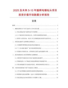 2025及未來5-10年捶柄電錘鉆頭項目投資價值市場數據分析報告