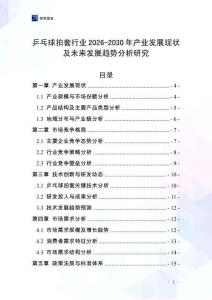 乒乓球拍套行業2026-2030年產業發展現狀及未來發展趨勢分析研究