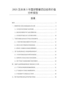 2025及未來5年圓球管塞項目投資價值分析報告