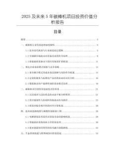 2025及未來5年碳棒機項目投資價值分析報告