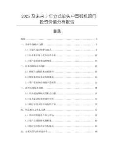 2025及未來5年立式單頭沖圓弧機項目投資價值分析報告