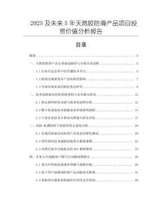 2025及未來5年天然膠防滑產品項目投資價值分析報告