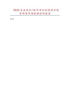 2025及未來5-10年吊燈拉線項目投資價值市場數據分析報告