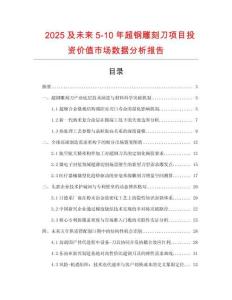 2025及未來5-10年超鋼雕刻刀項(xiàng)目投資價(jià)值市場數(shù)據(jù)分析報(bào)告