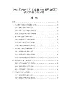 2025及未來5年專業舞臺音樂系統項目投資價值分析報告