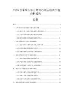 2025及未來5年三角油石項目投資價值分析報告