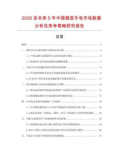 2025至未來5年中國微型手電市場數據分析及競爭策略研究報告