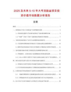2025及未來5-10年大號洗臉盆項(xiàng)目投資價(jià)值市場數(shù)據(jù)分析報(bào)告
