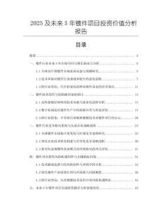 2025及未來(lái)5年鍍件項(xiàng)目投資價(jià)值分析報(bào)告