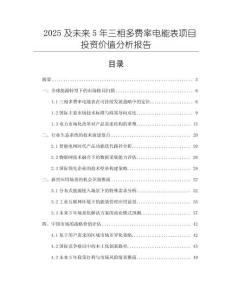 2025及未來5年三相多費率電能表項目投資價值分析報告