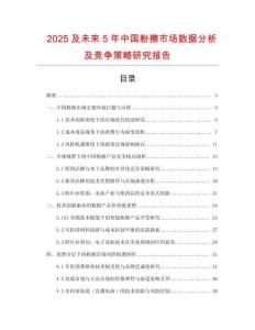 2025及未來(lái)5年中國(guó)粉擦市場(chǎng)數(shù)據(jù)分析及競(jìng)爭(zhēng)策略研究報(bào)告