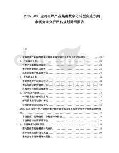 2025-2030寶雞釬焊產業集群數字化轉型實施方案市場競爭分析評估規劃提綱報告
