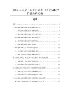 2025及未来5年USB迷你HUB项目投资价值分析报告