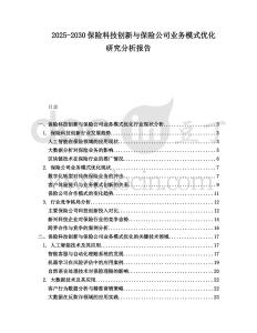 2025-2030保險(xiǎn)科技創(chuàng)新與保險(xiǎn)公司業(yè)務(wù)模式優(yōu)化研究分析報(bào)告