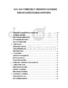 2025-2030中國航空航天飛船結(jié)構(gòu)件行業(yè)市場現(xiàn)狀供需分析及投資評(píng)估規(guī)劃分析研究報(bào)告